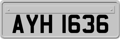 AYH1636