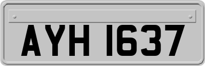 AYH1637
