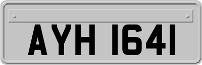 AYH1641