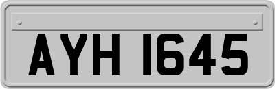 AYH1645