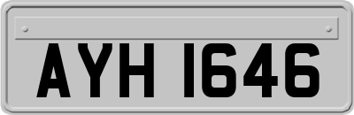 AYH1646
