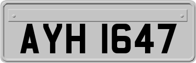 AYH1647