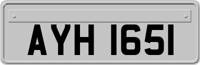 AYH1651