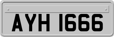 AYH1666
