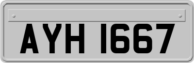 AYH1667