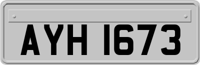 AYH1673