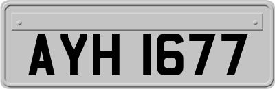 AYH1677