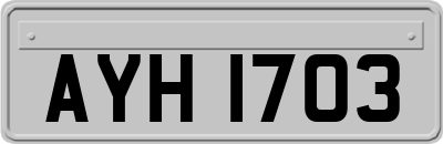 AYH1703