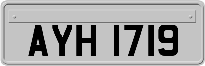 AYH1719