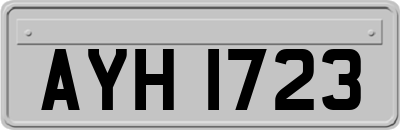 AYH1723