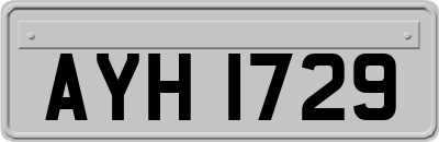 AYH1729