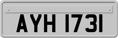 AYH1731