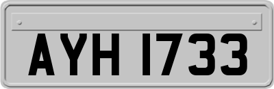 AYH1733