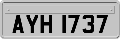 AYH1737
