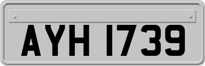 AYH1739