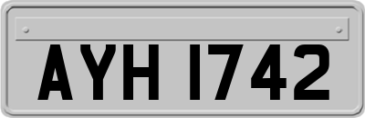 AYH1742