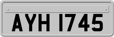 AYH1745