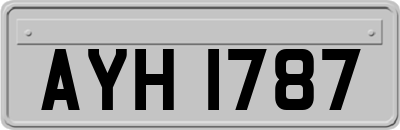AYH1787