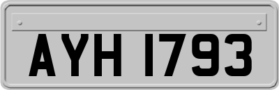 AYH1793