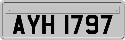 AYH1797