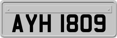 AYH1809