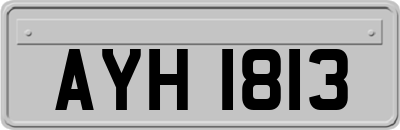 AYH1813
