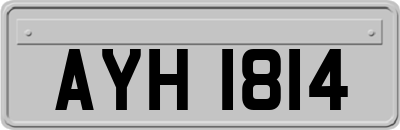 AYH1814