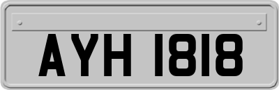 AYH1818