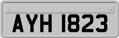 AYH1823