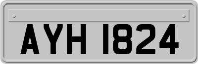 AYH1824