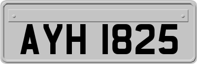 AYH1825