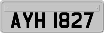 AYH1827