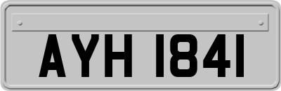 AYH1841