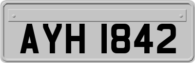 AYH1842