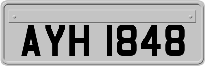 AYH1848