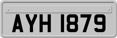 AYH1879