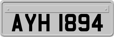 AYH1894
