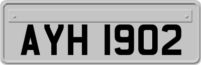 AYH1902