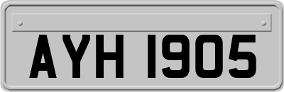 AYH1905