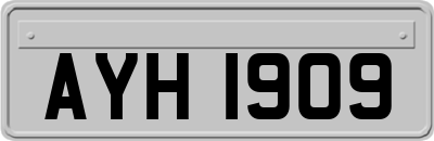 AYH1909