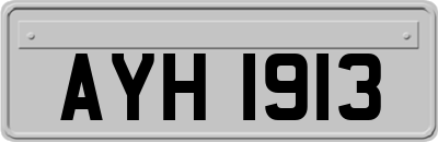 AYH1913