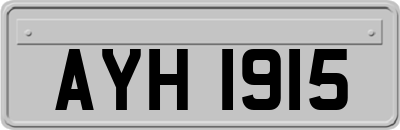 AYH1915
