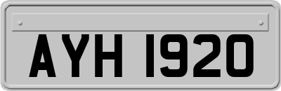 AYH1920