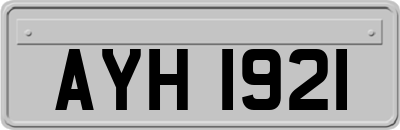 AYH1921