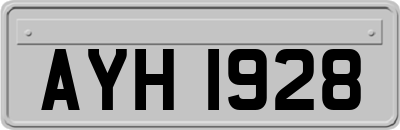 AYH1928
