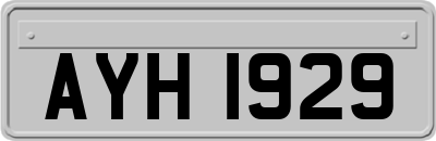 AYH1929