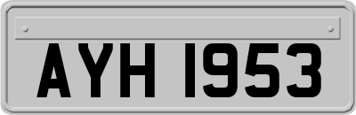 AYH1953
