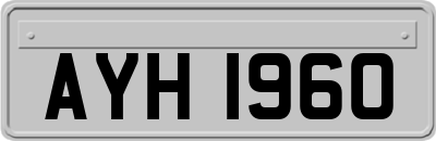 AYH1960