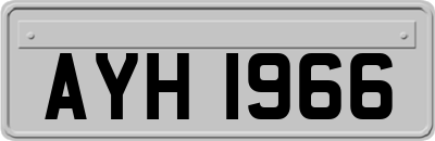 AYH1966