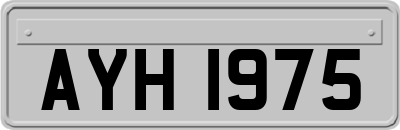 AYH1975
